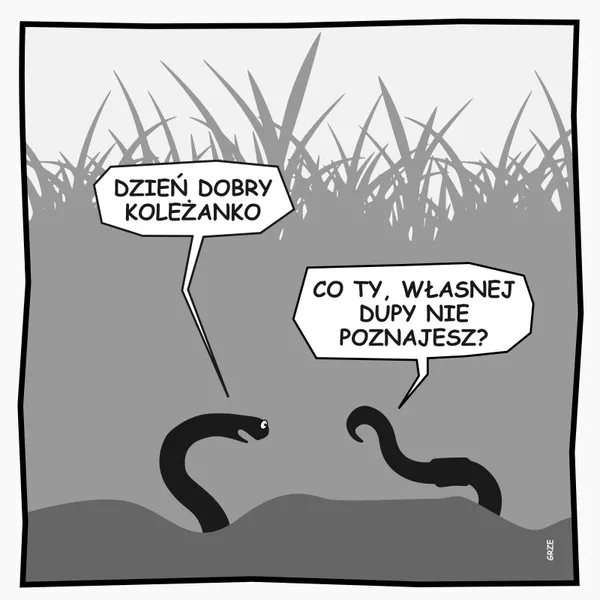 huorystyczny obrazek